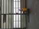 Fotografia Jungheinrich ERC 216z | Booster Lift