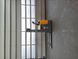 Fotografia Jungheinrich ERC 216z | Booster Lift