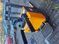 Foto von Jungheinrich ERD 220 | Booster Lift