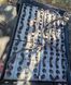Фото Toyota 7FBMF25 / batt 2022 unused | Booster Lift