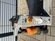 Fotografia Still ECH12C | Booster Lift